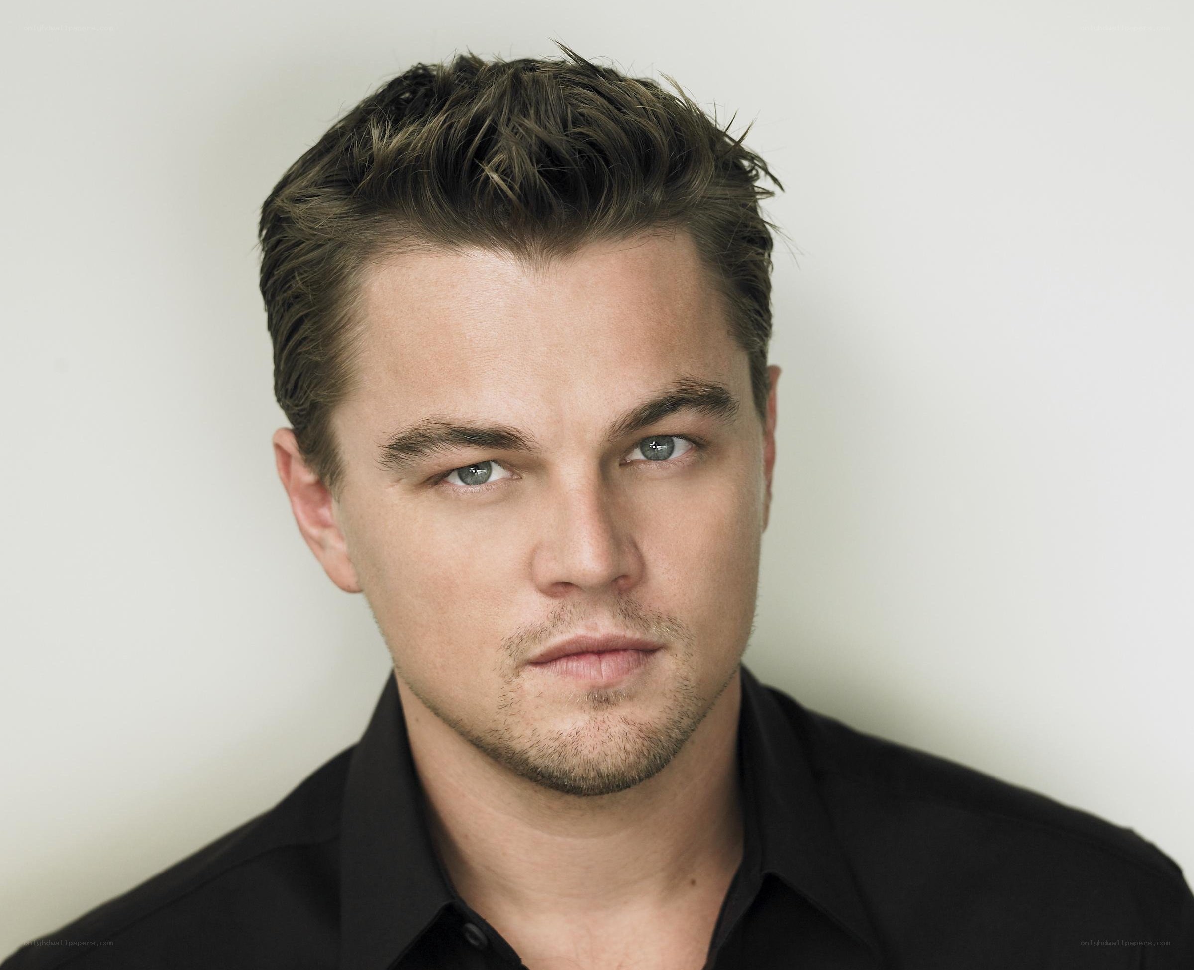 Leonardo DiCaprio portrait