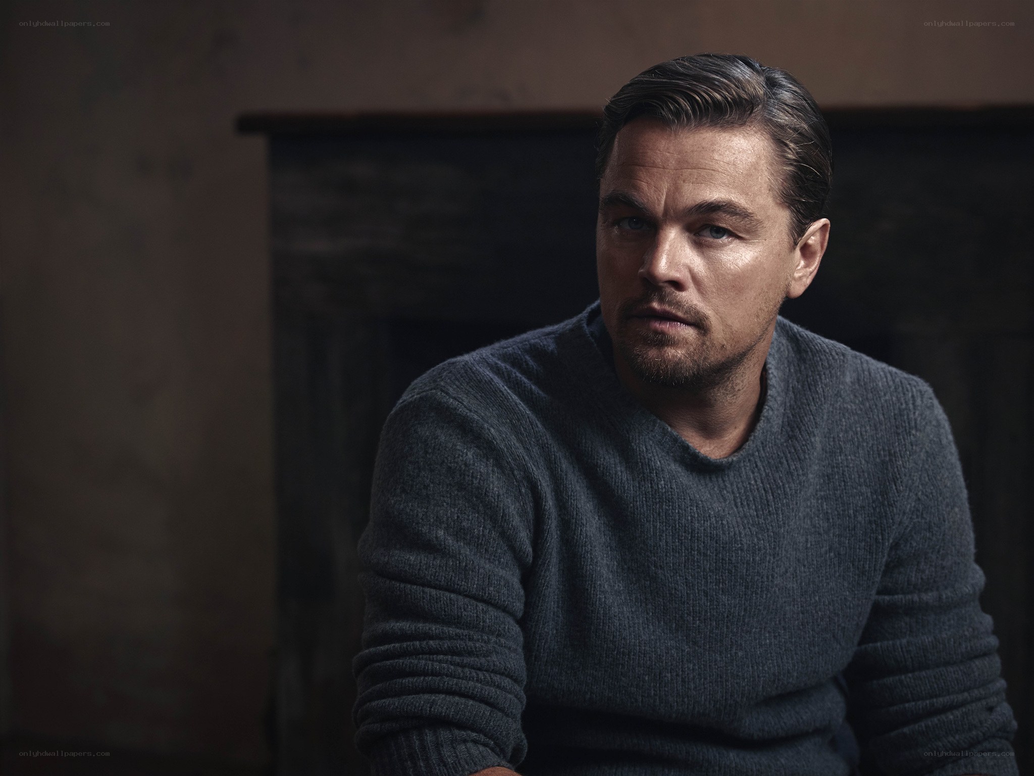 Leonardo DiCaprio portrait