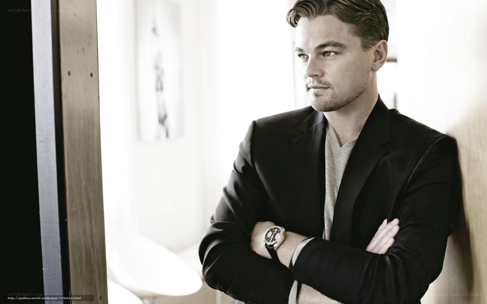 Leonardo DiCaprio portrait