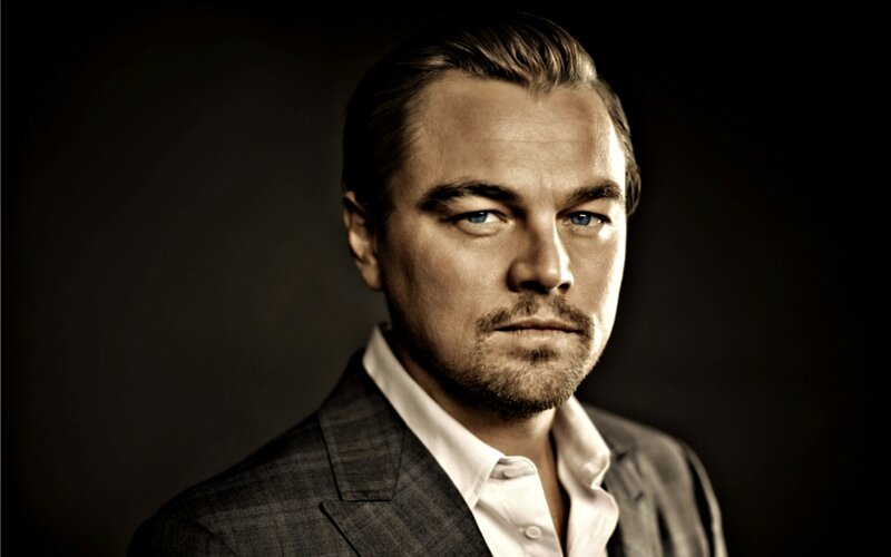Leonardo Dicaprio Portrait — Brown