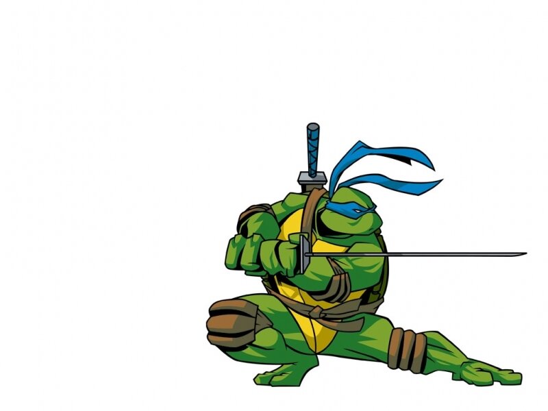 Leonardo from Teenage Mutant Ninja Turtles