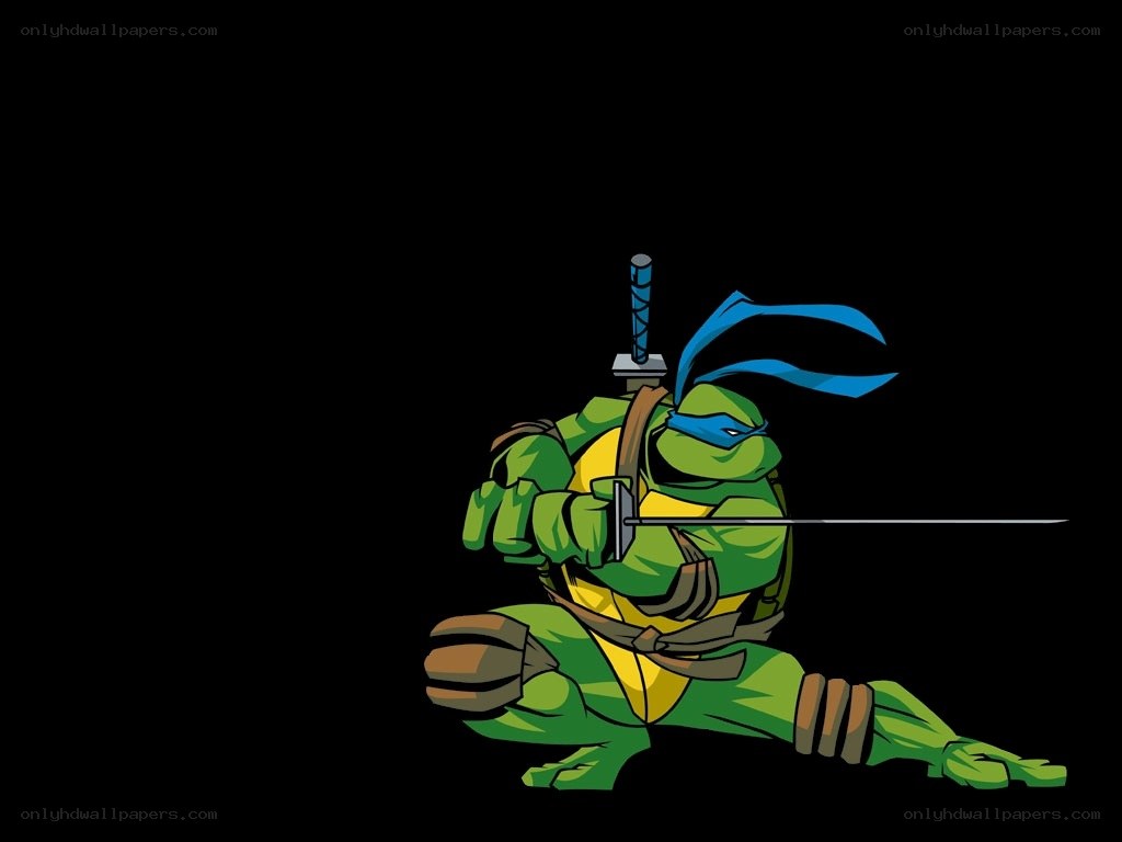 Leonardo from TMNT