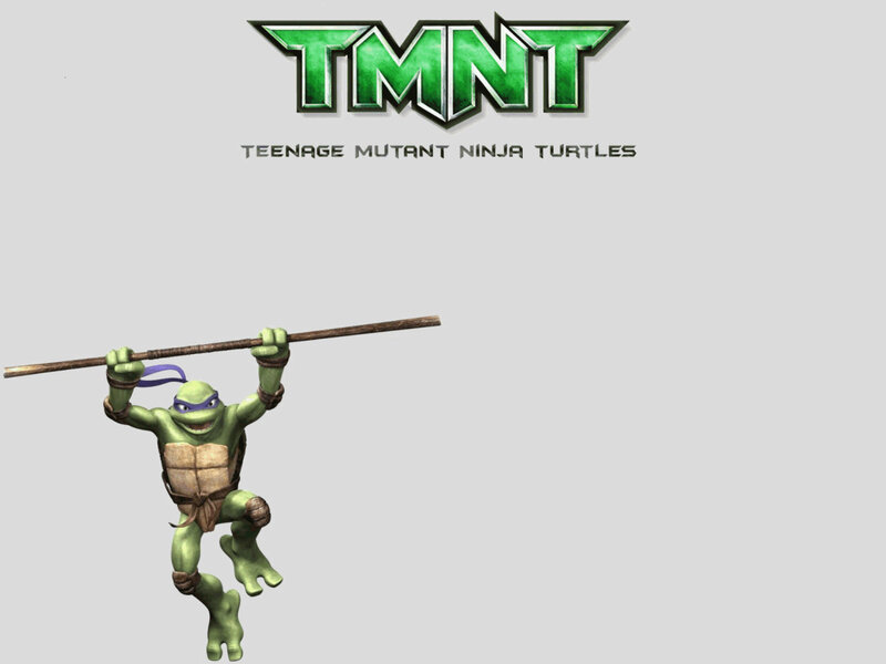 Leonardo from TMNT