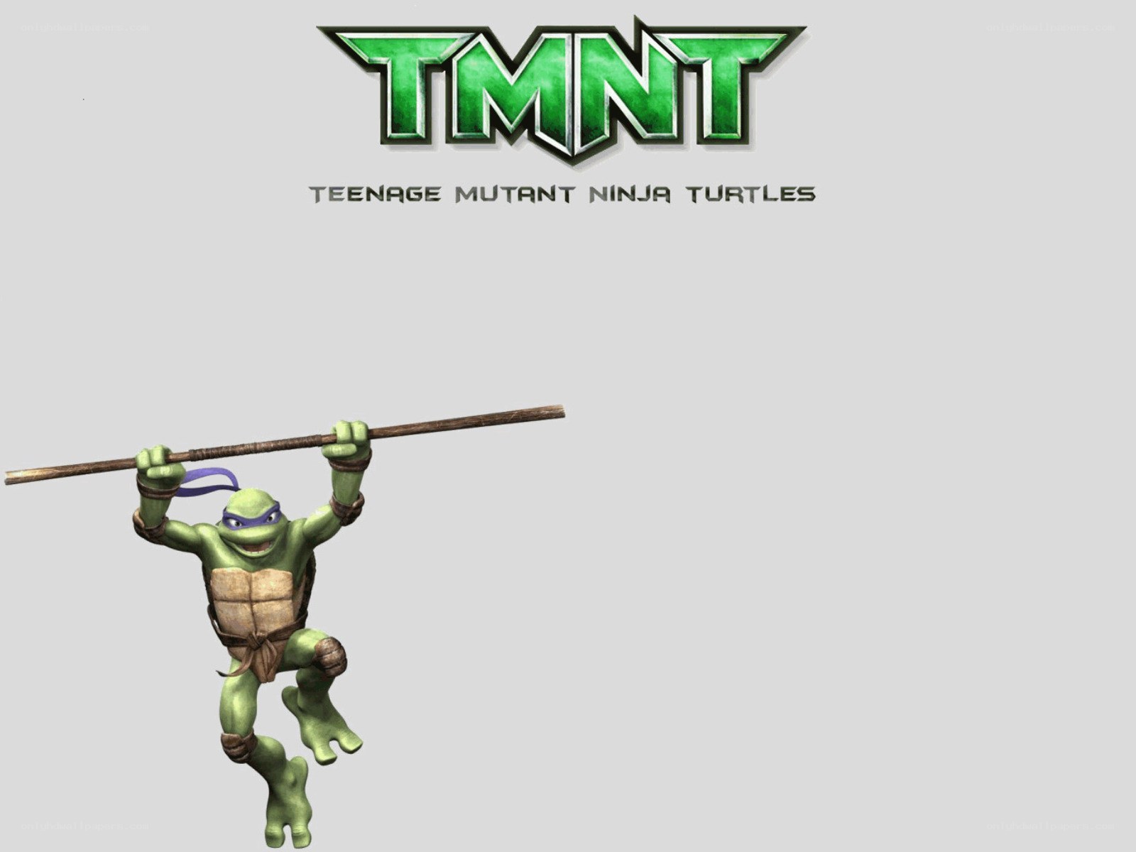 Leonardo from TMNT
