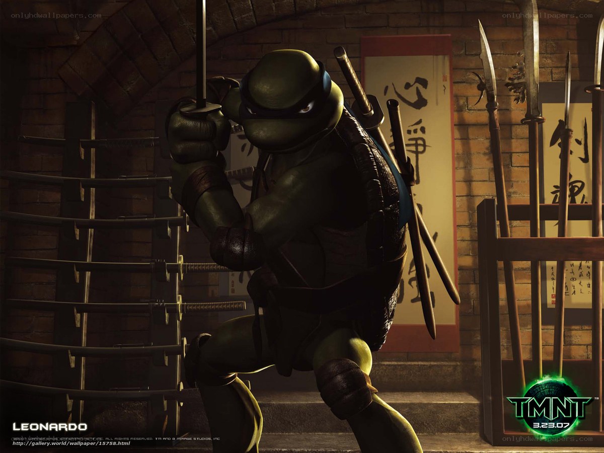 Leonardo from TMNT