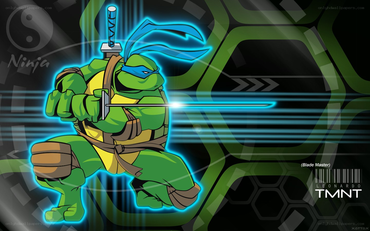 Leonardo the Ninja Turtle