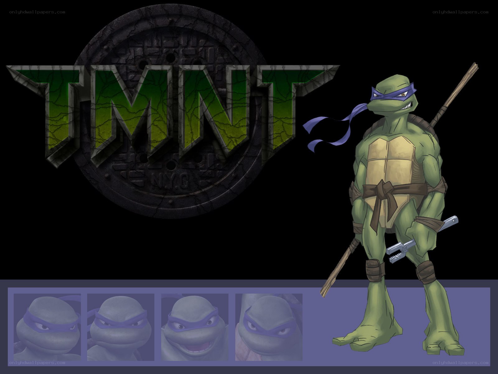 Leonardo TMNT character art