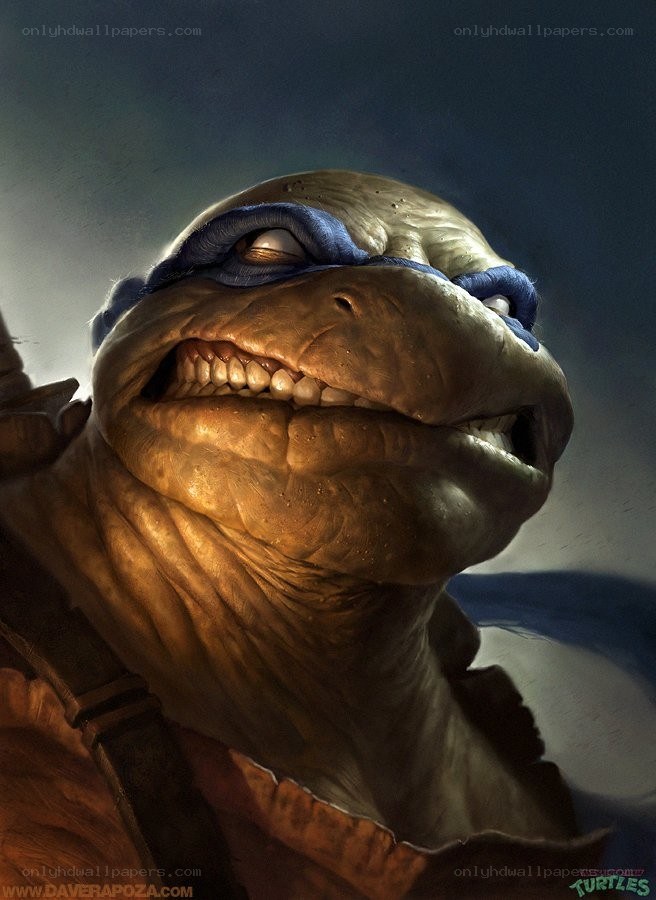Leonardo turtle close-up