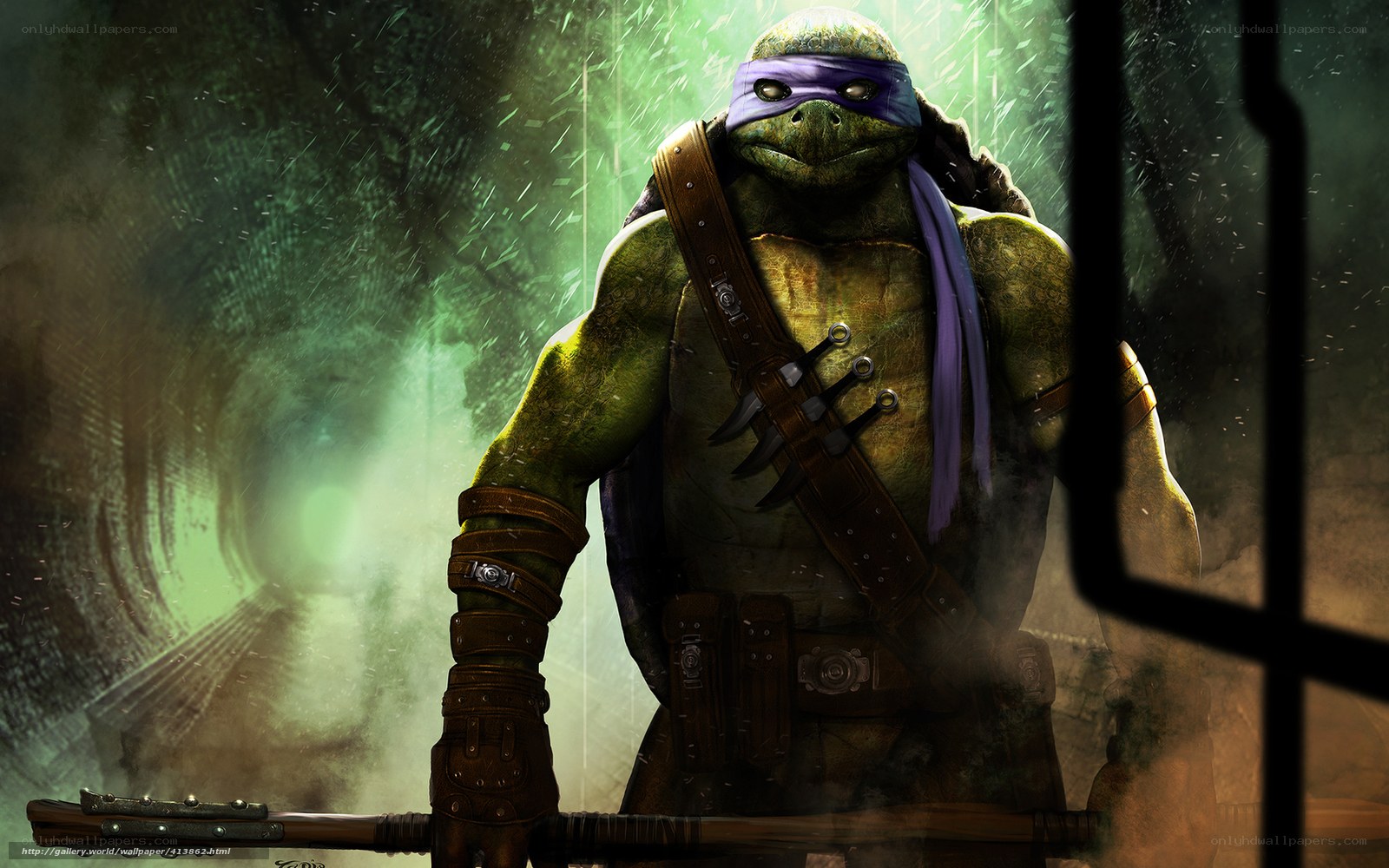 Leonardo turtle in sewer