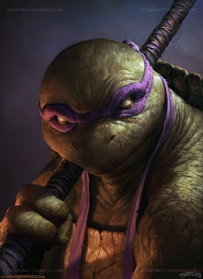 Leonardo turtle with katanas