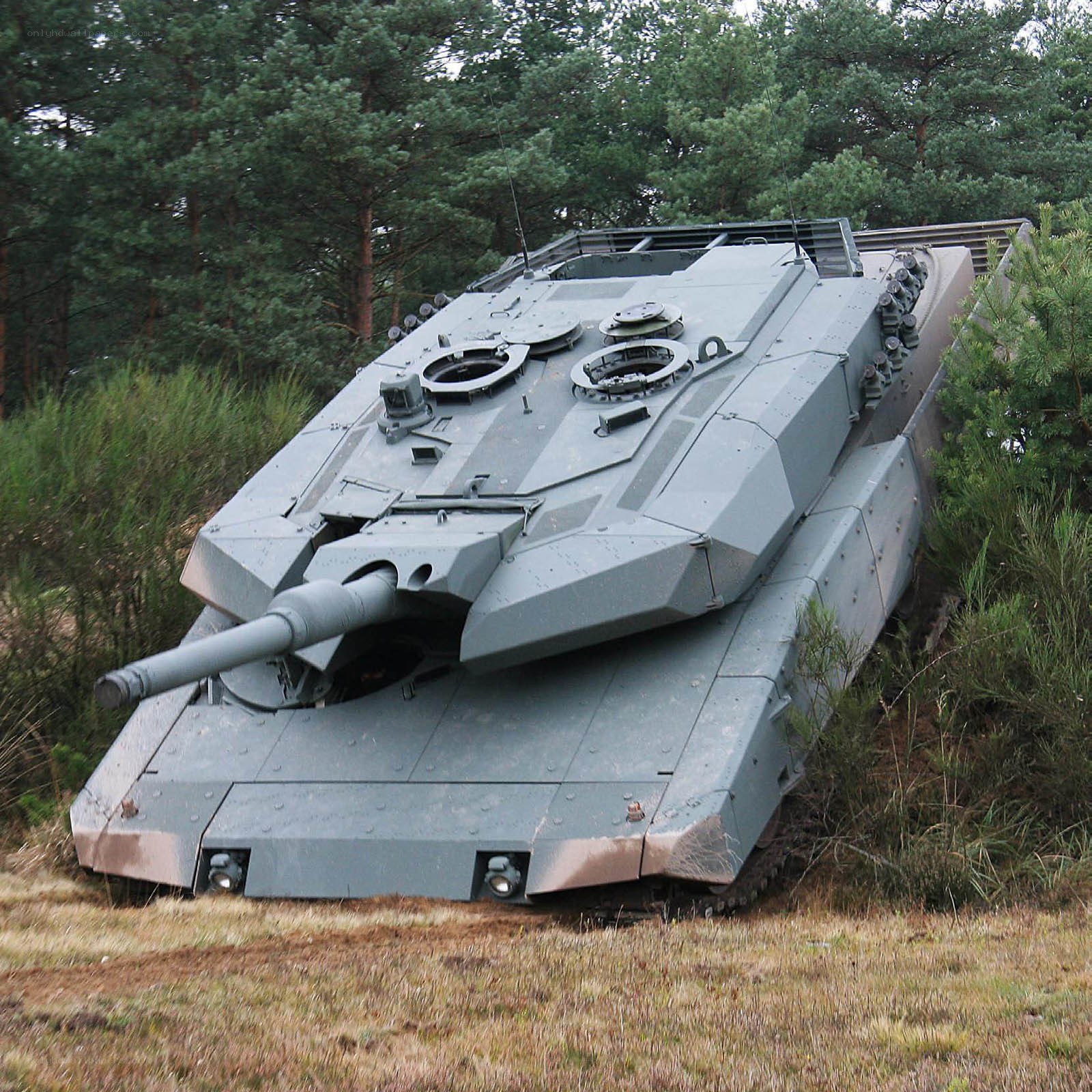 Leopard 2 tank in forest