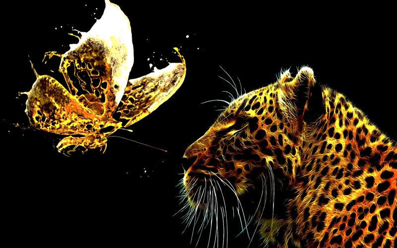 Leopard and Butterfly