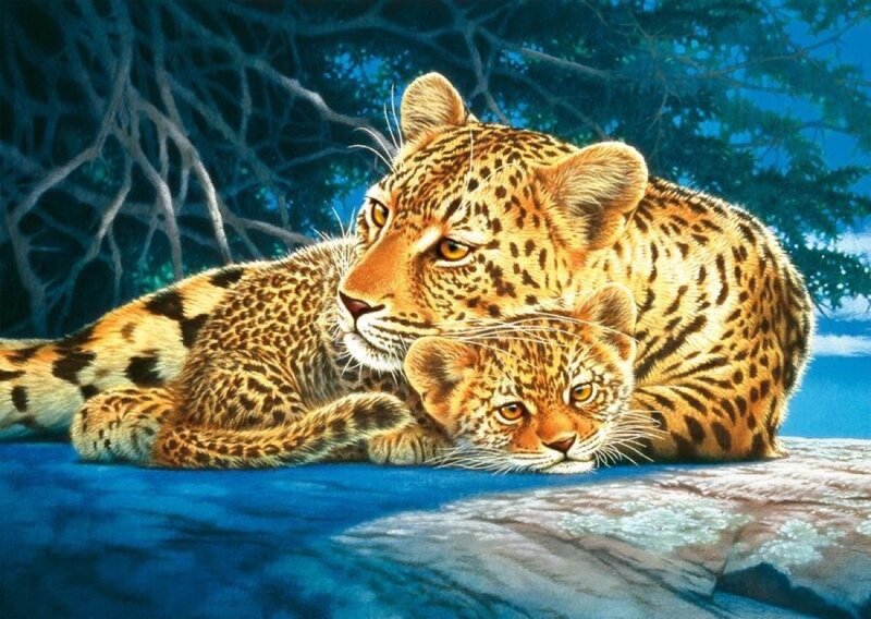Leopard and Cub — Blue, Calm