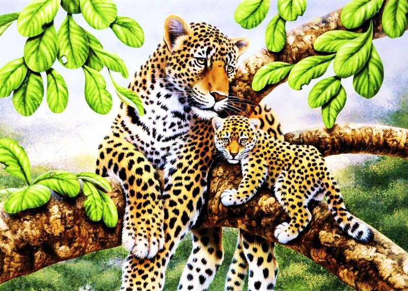 Leopard and Cub — Green, Calm
