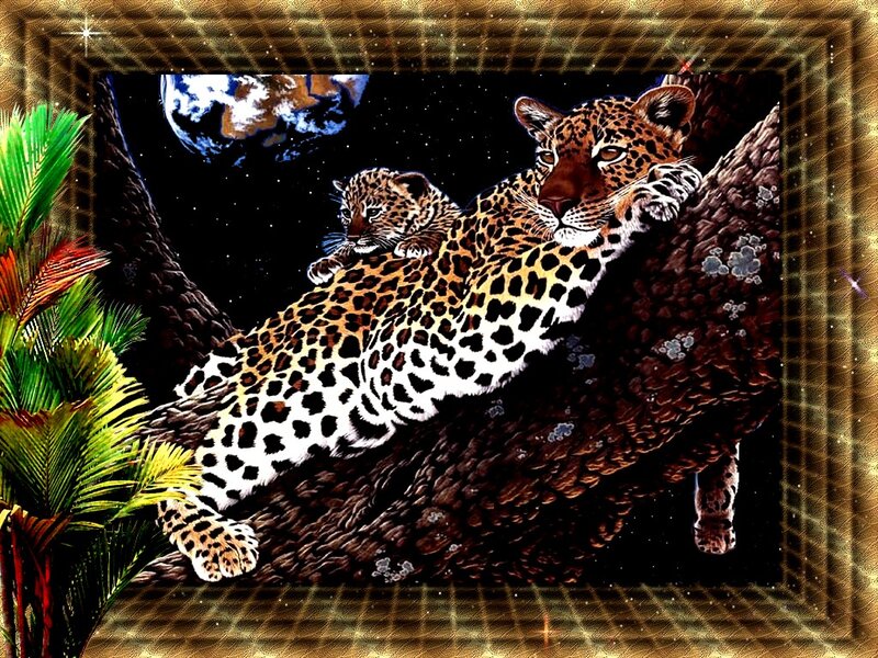 Leopard and Cub in Tree — Brown, Dramatic