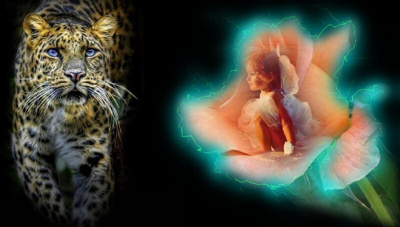 Leopard and Fairy