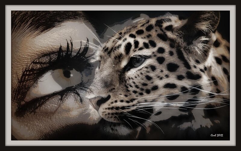 Leopard and Woman's Eye