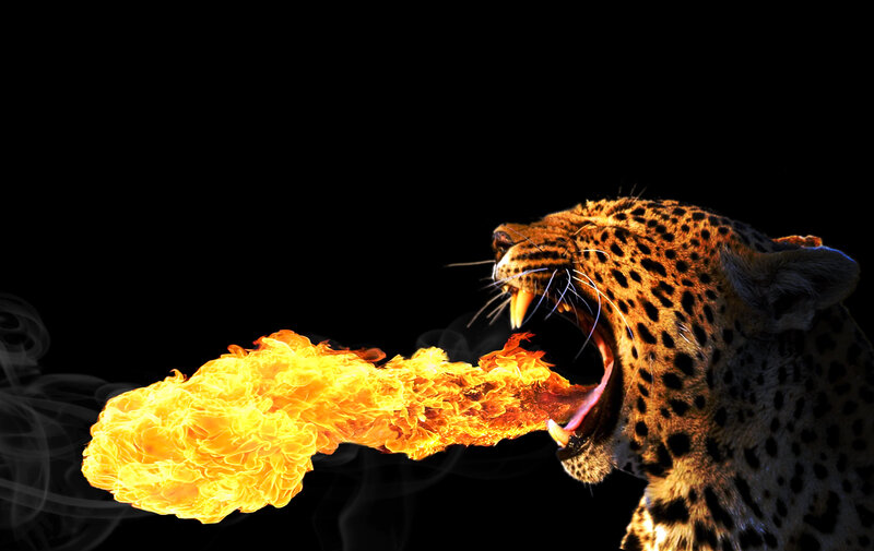 Leopard Breathing Fire