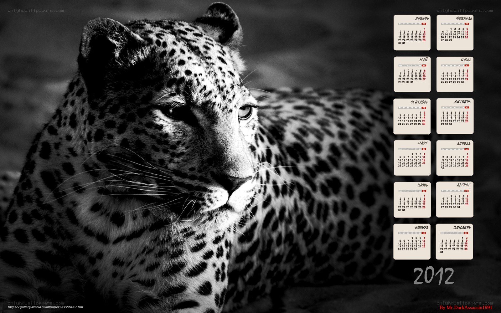 Leopard Calendar 2012