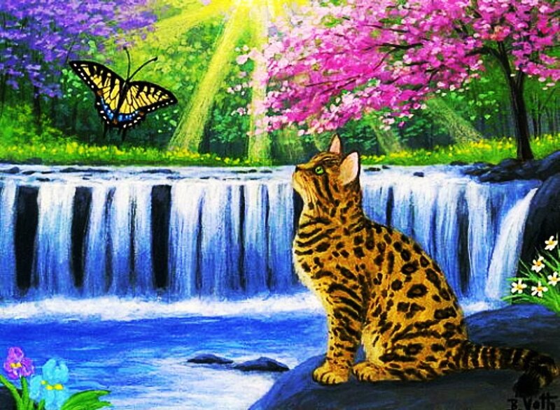 Leopard Cat by Waterfall