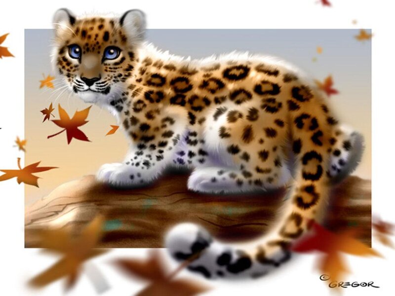 Leopard Cub — Brown, Calm, Autumn