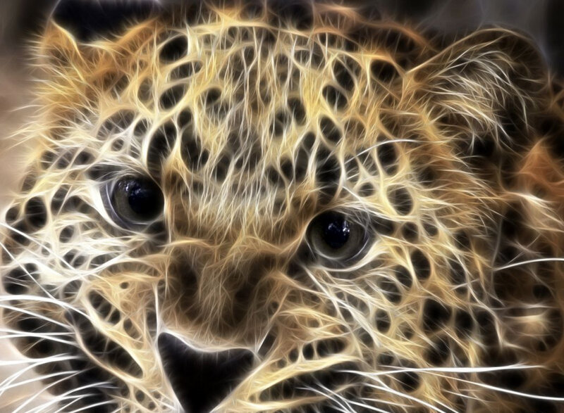 Leopard Cub Face — Yellow, Intense, Digital Art, Eyes