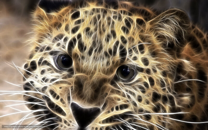 Leopard Cub Face — Yellow