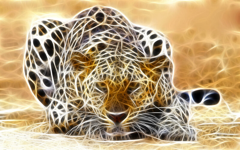 Leopard Cub in Sand