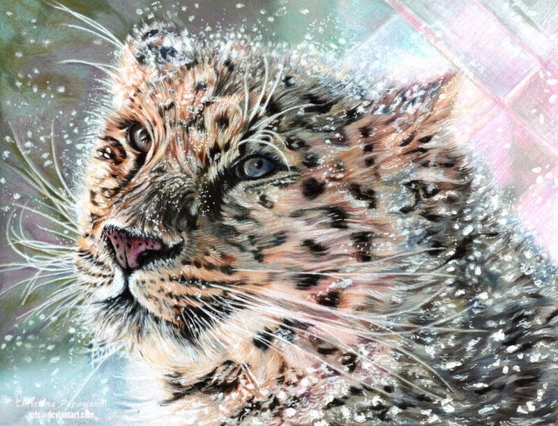 Leopard Cub in Snow