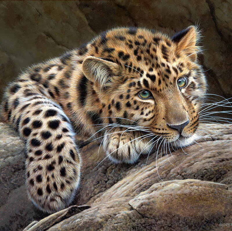 Leopard Cub on Rock — Brown, Calm, Painting
