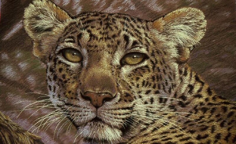 Leopard Cub Portrait — Brown