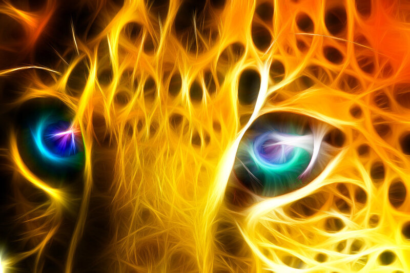 Leopard Eyes