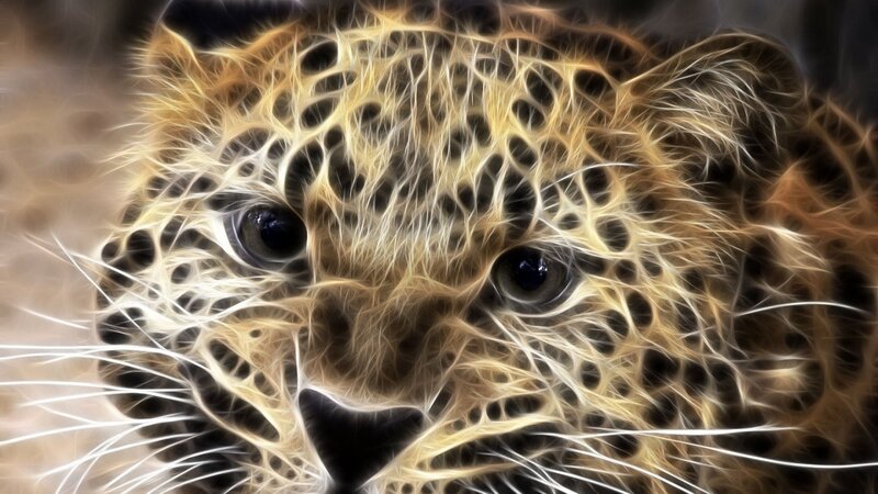 Leopard Face Close-up — Yellow, Intense