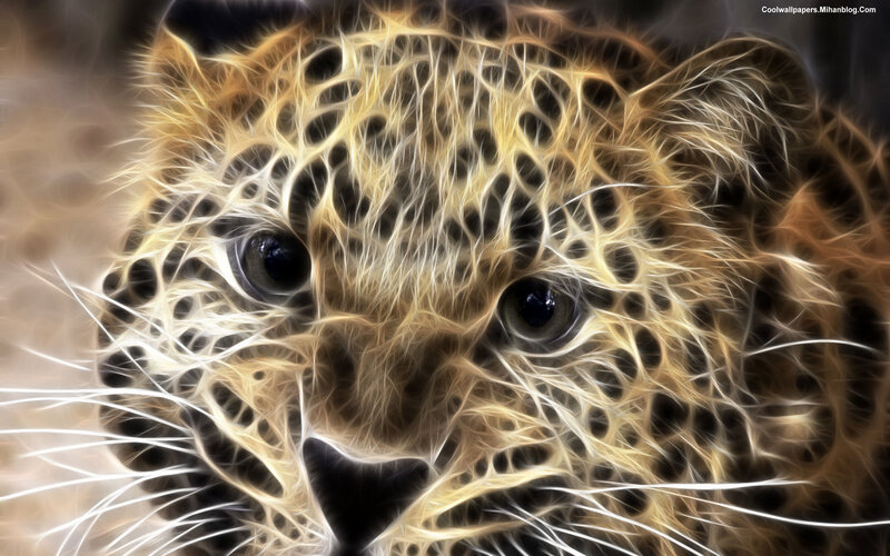 Leopard Face Close-up — Yellow