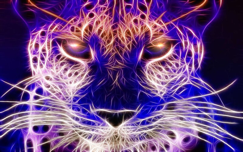 Leopard Face — Purple