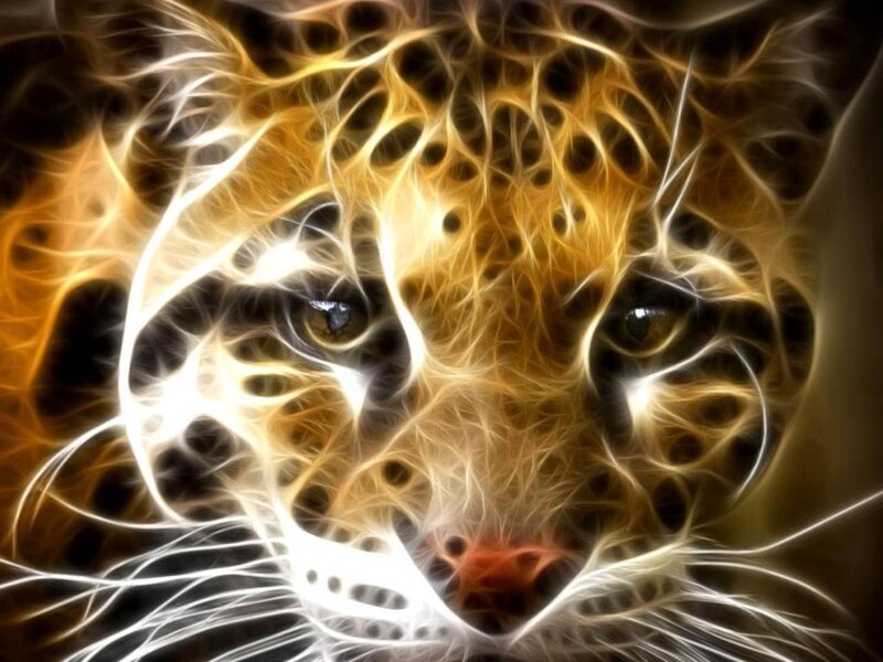 Leopard Face — Yellow, Dramatic, Digital Art, Eyes