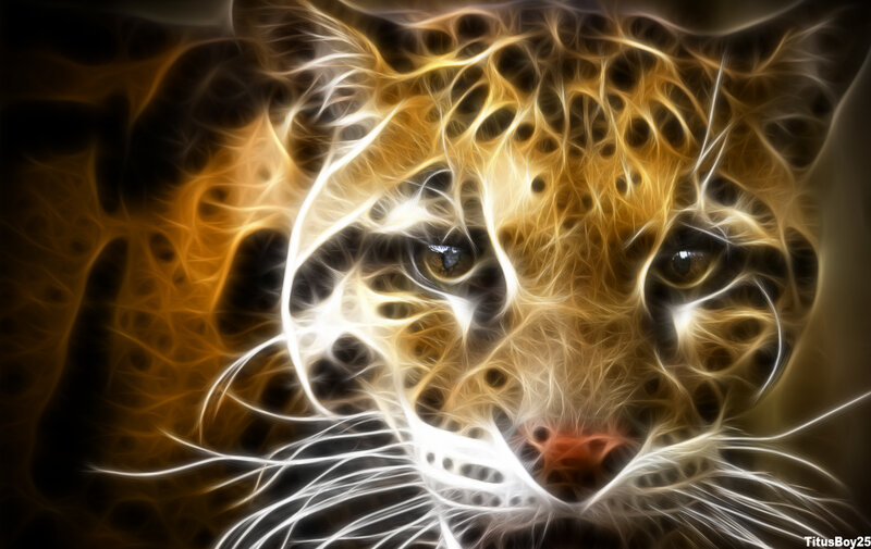 Leopard Face — Yellow, Dramatic, Digital Art, Eyes, Whiskers, Spots, Black, White, Titusboy25