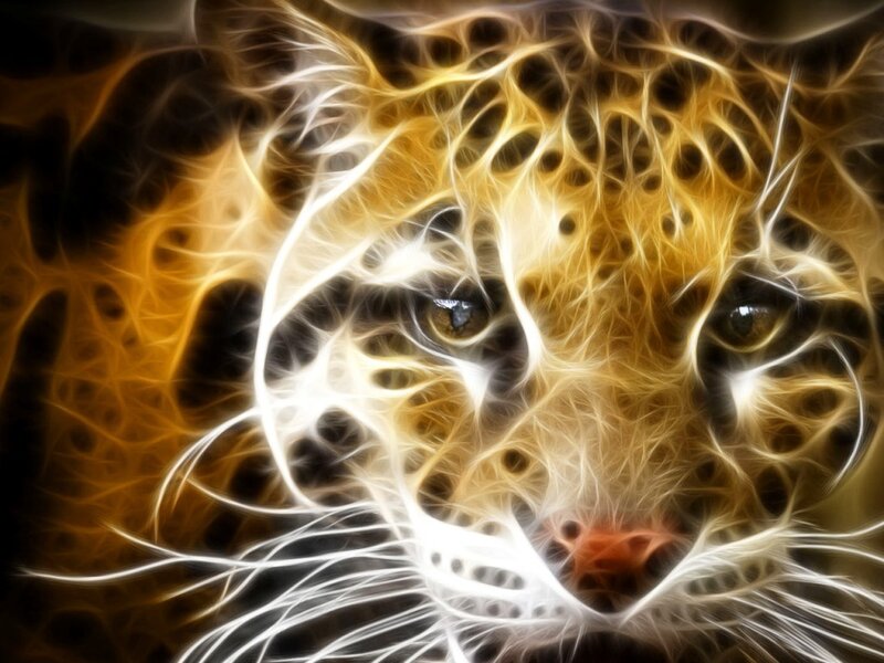 Leopard Face — Yellow, Dramatic