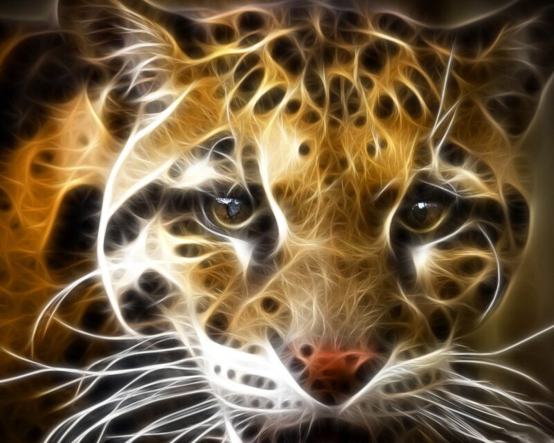 Leopard Face — Yellow, Intense, Digital Art, Eyes
