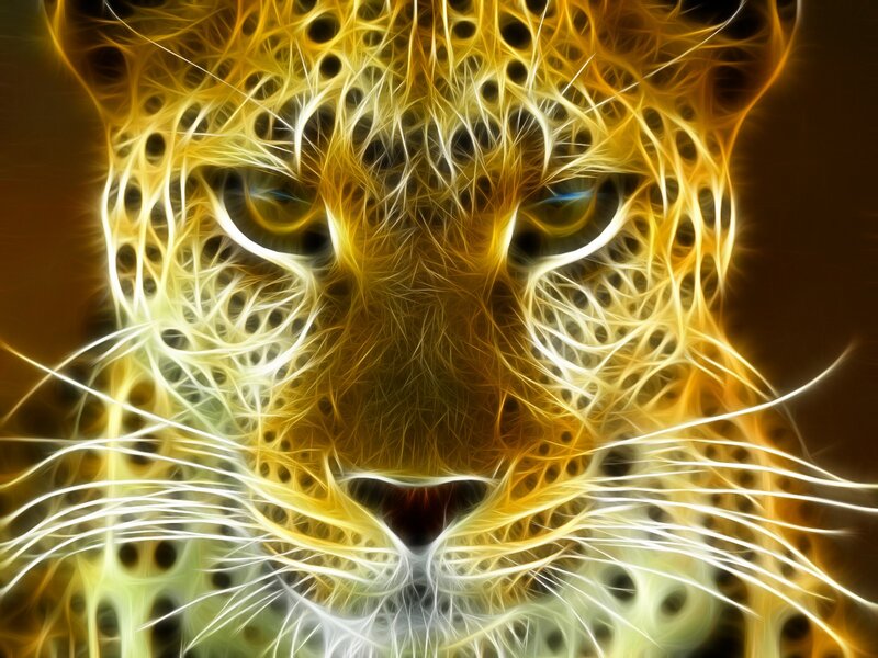 Leopard Face — Yellow, Intense, Digital Art