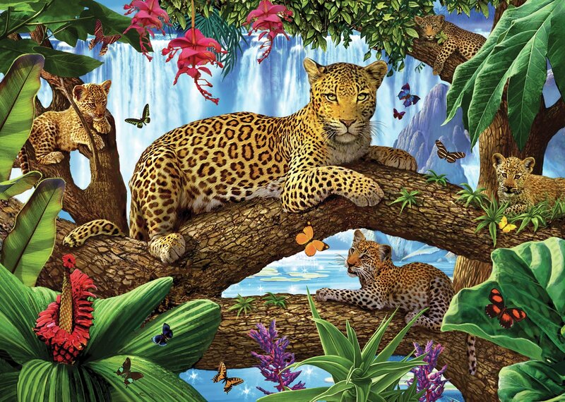 Leopard Family in Jungle
