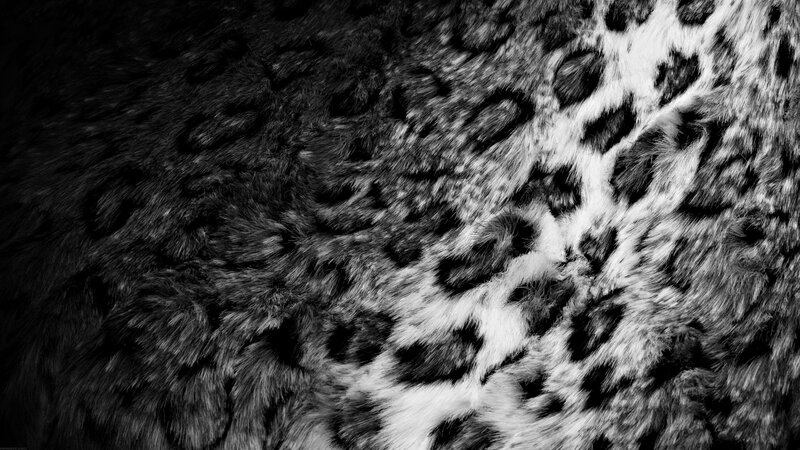 Leopard Fur Pattern — Black, Textured