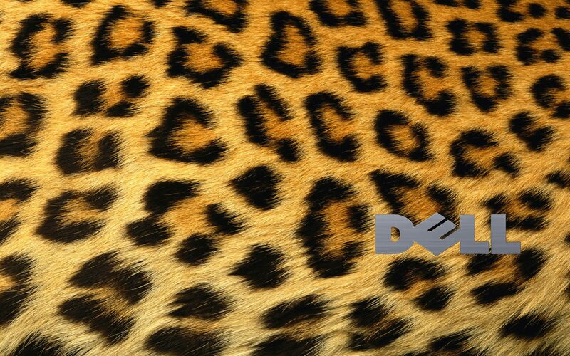 Leopard Fur Pattern — Brown, Neutral, Photograph