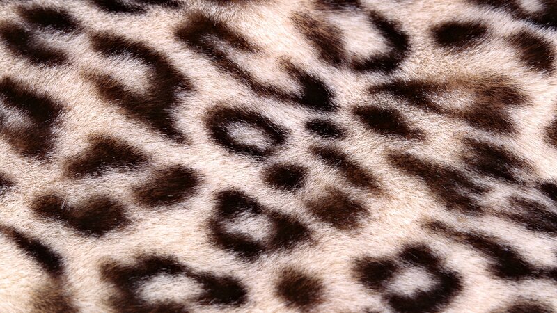 Leopard Fur Pattern — Brown, Neutral