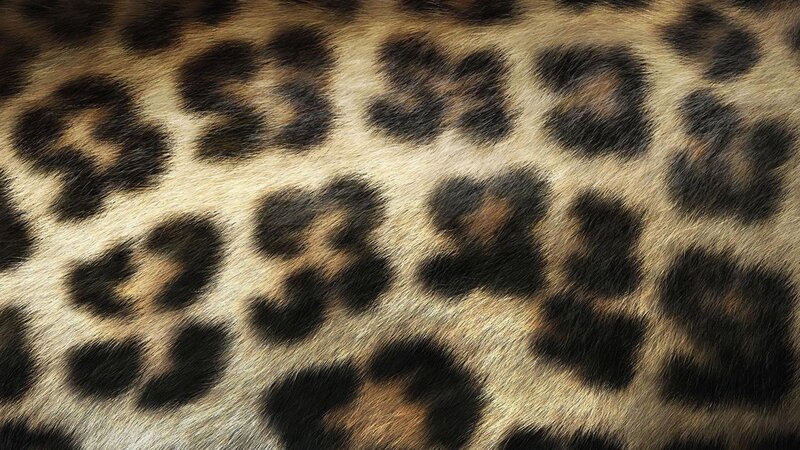 Leopard Fur Pattern — Brown, Tan