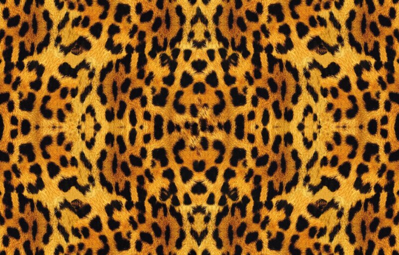 Leopard Fur Pattern — Photograph, Black