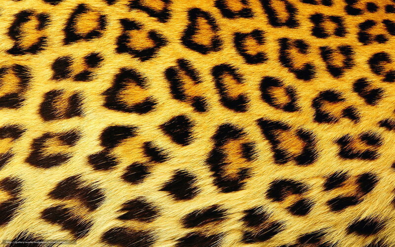 Leopard Fur Pattern — Yellow, Natural