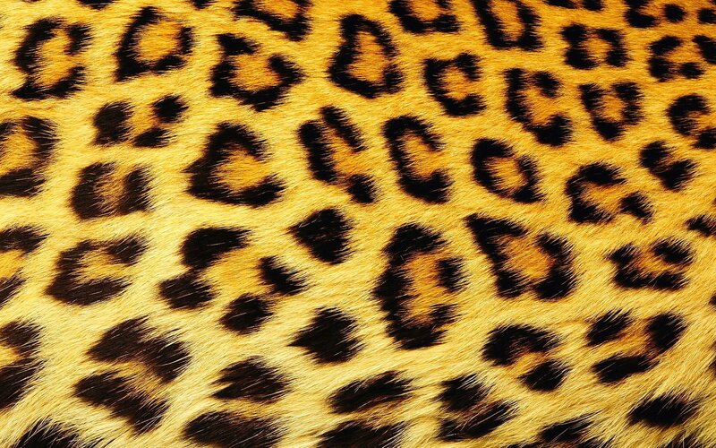 Leopard Fur Pattern — Yellow, Neutral
