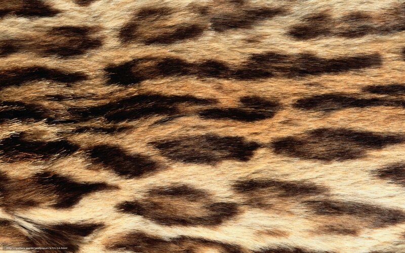 leopard fur texture