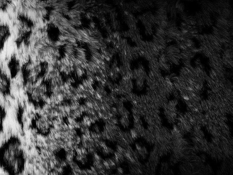 leopard fur texture